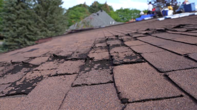 Best Green or Eco-Friendly Roofing Solutions  in St Charles, MO