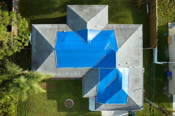 Best Sheet Metal Roofing  in St Charles, MO