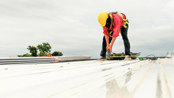 Best Chimney Flashing Repair  in St Charles, MO