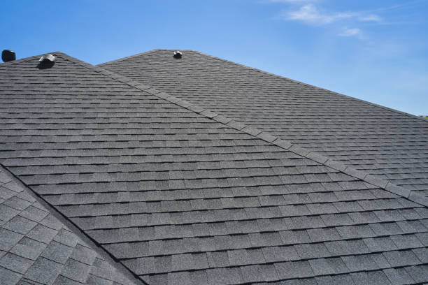 Best Solar Panel Roofing Installation  in St Charles, MO