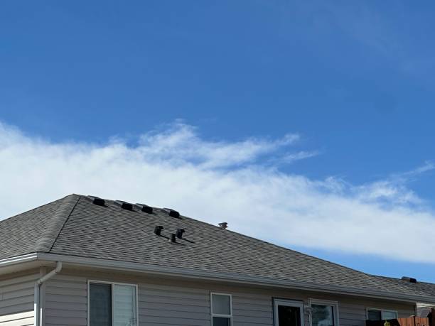 Best Roof Ventilation Installation  in St Charles, MO